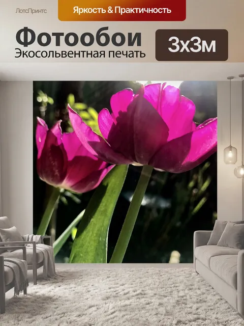 Фотообои Тюльпаны