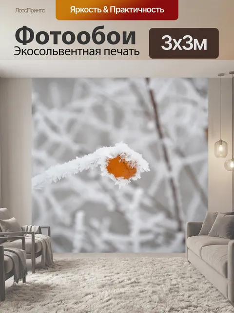 Фотообои Зима