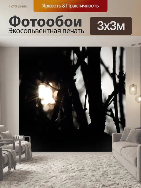 Фотообои солнечные лучи заглядывают сквозь ветви