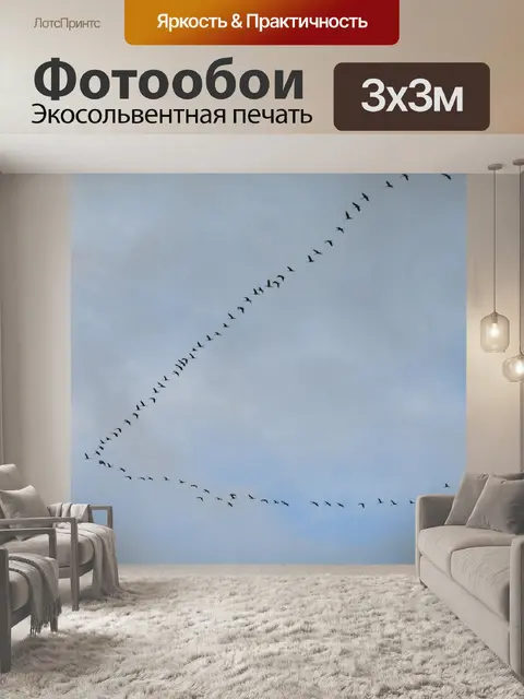 Фотообои Connect competition
