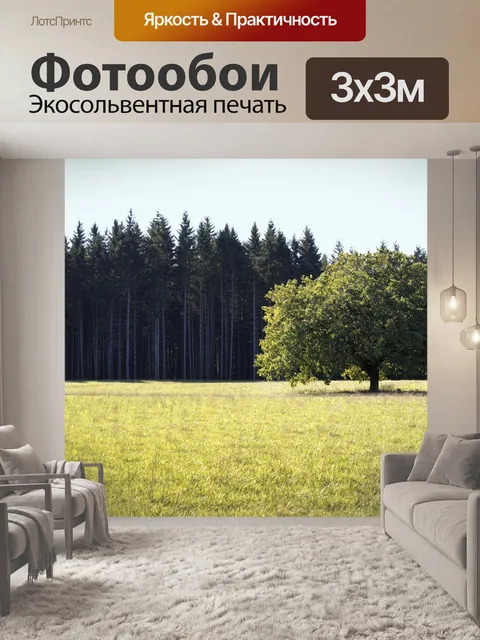 Фотообои Деревья