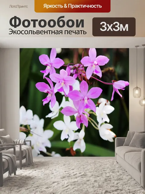 Фотообои орхидеи в моем дворе 3