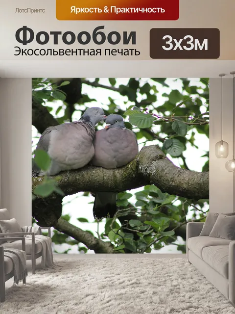 Фотообои Птица