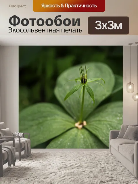 Фотообои Париж трава