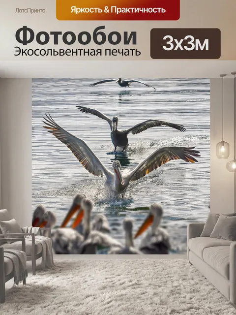 Фотообои Пеликаны