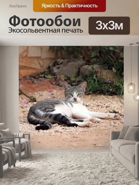 Фотообои Кошка