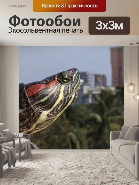 Фотообои Город