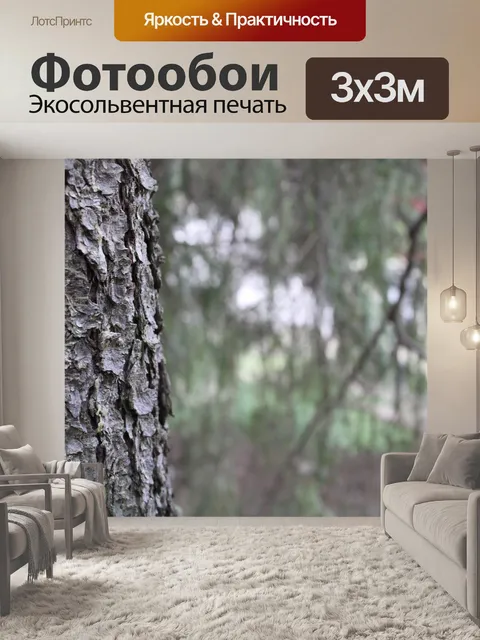 Фотообои Рамка