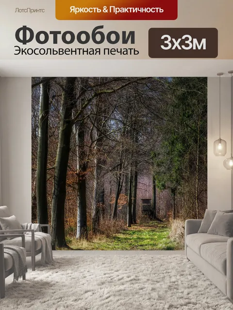 Фотообои Лес