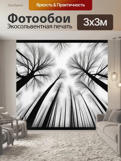 Фотообои с деревьями чернобелый