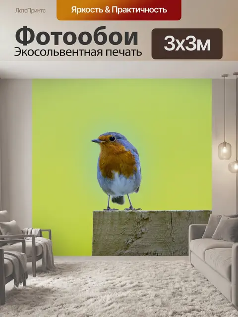 Фотообои Робин Эритакус рубекула