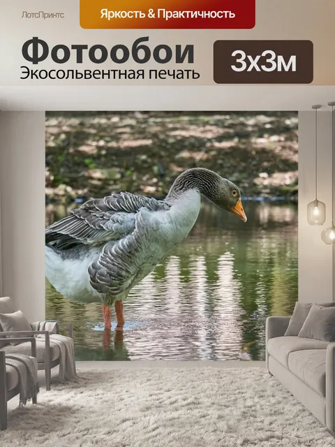 Фотообои Гусь