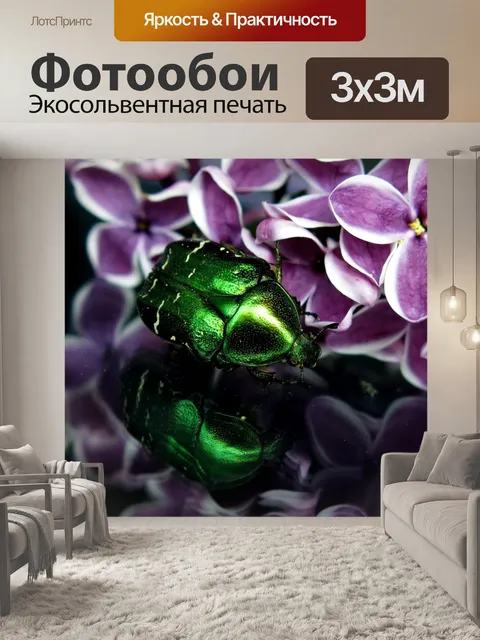 Фотообои Жук-роза