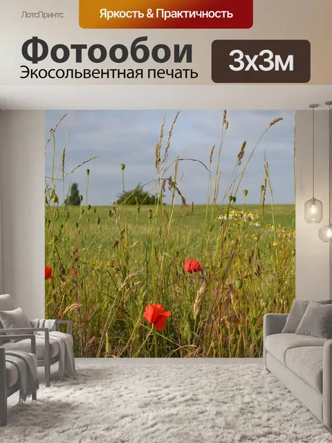 Фотообои Маки