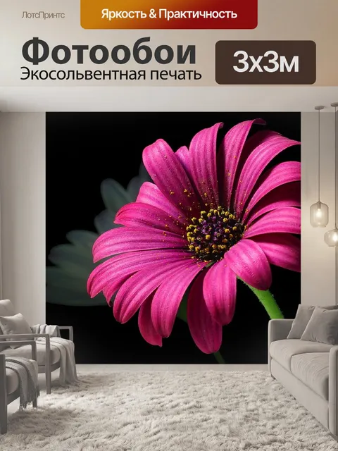 Фотообои Восхитительный Daisy