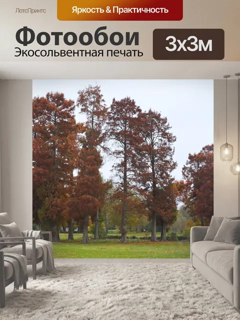 Фотообои Деревья