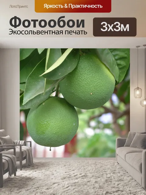Фотообои Природа