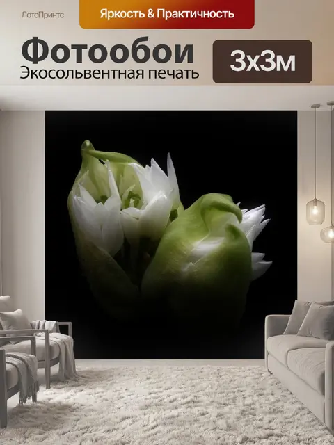 Фотообои Цветы