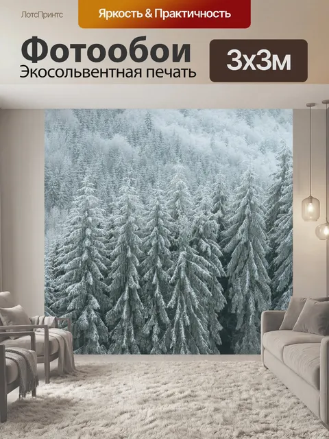 Фотообои Фрост