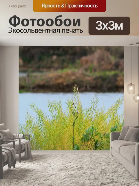 Фотообои Куча сорняков