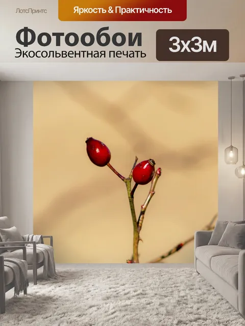 Фотообои Шиповник