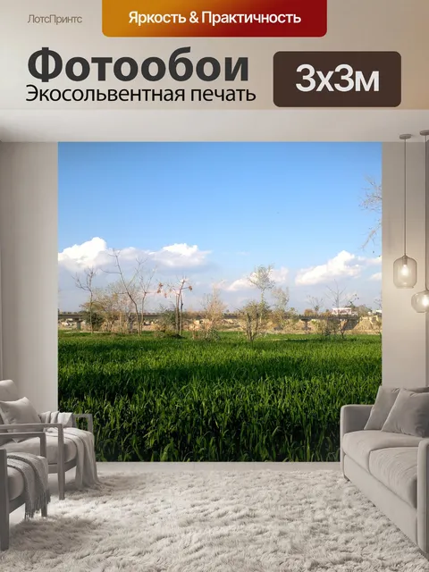 Фотообои Трава
