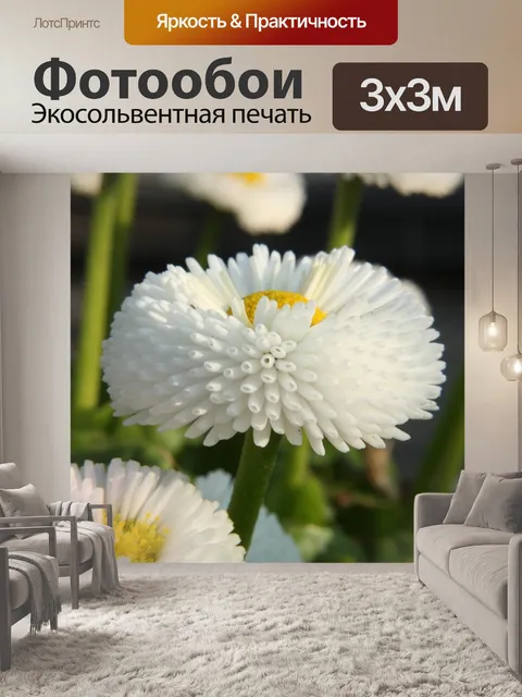 Фотообои Цветы