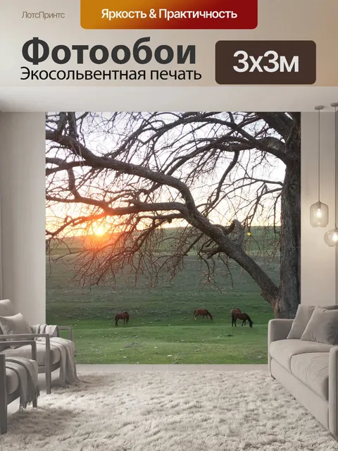 Фотообои Закат