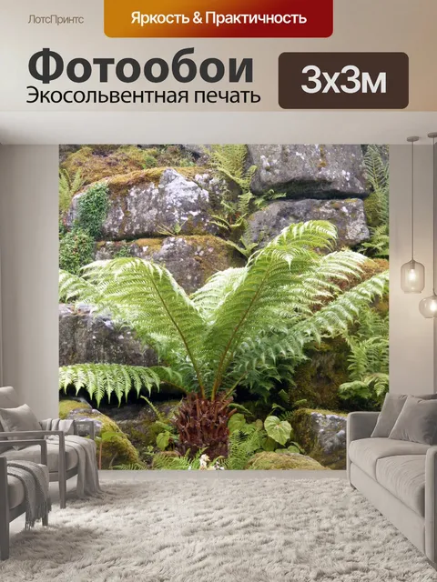 Фотообои Tree Fern
