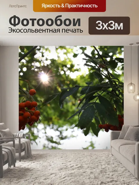 Фотообои Лес