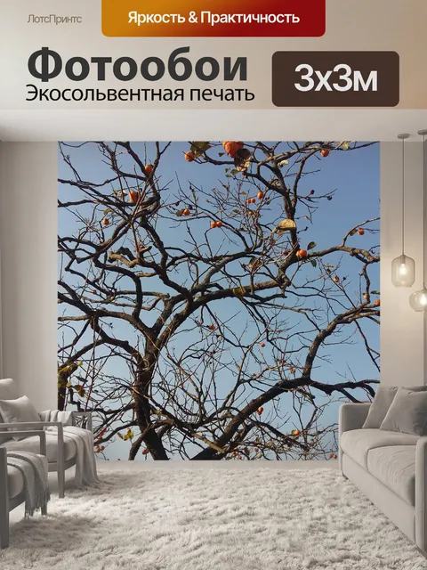 Фотообои Дерево