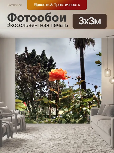 Фотообои Оранжевые розы