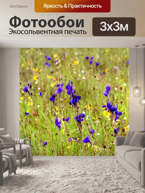 Фотообои дикие цветы, Таиланд