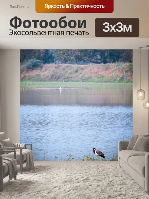 Фотообои Птица