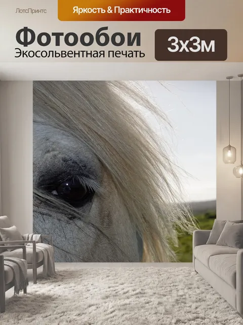 Фотообои Лошадь