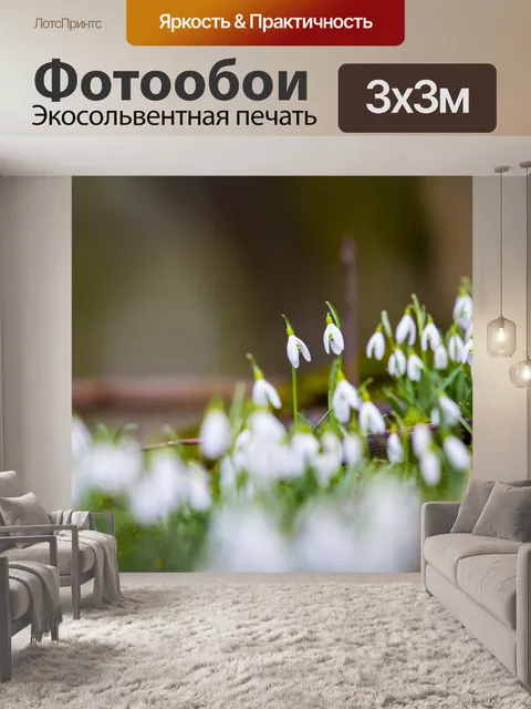 Фотообои Подснежники