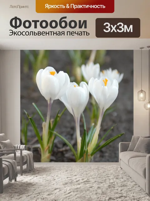 Фотообои Цветы
