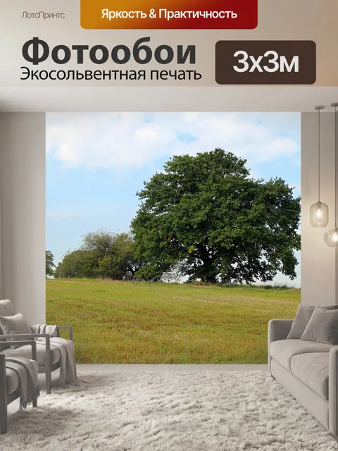 Фотообои Дерево
