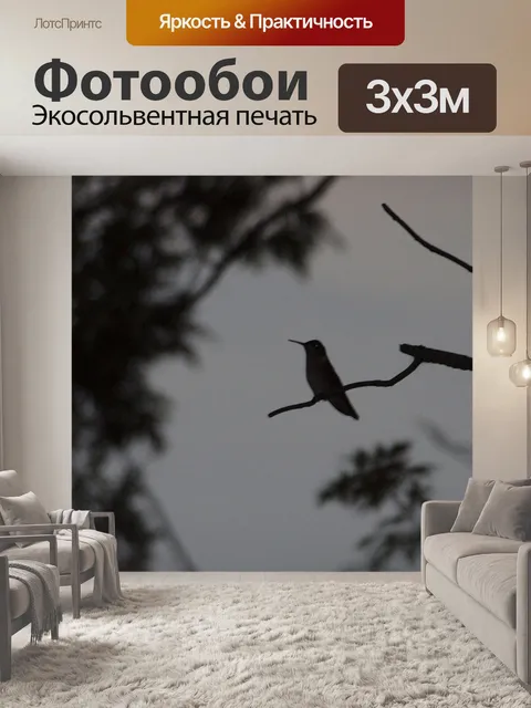 Фотообои Колибри