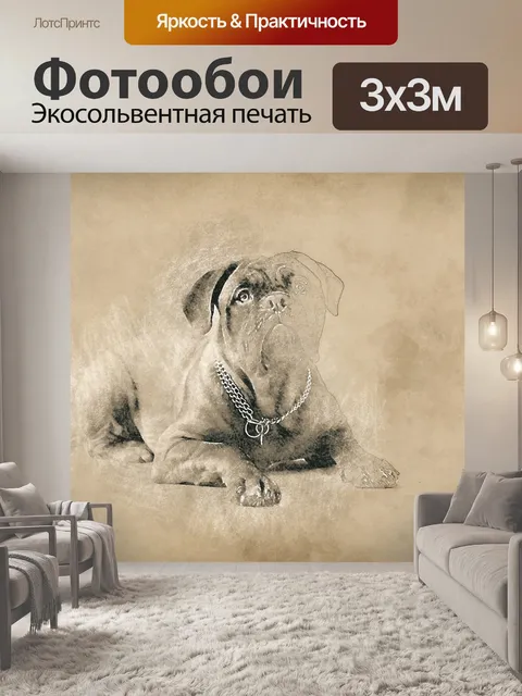 Фотообои Собака