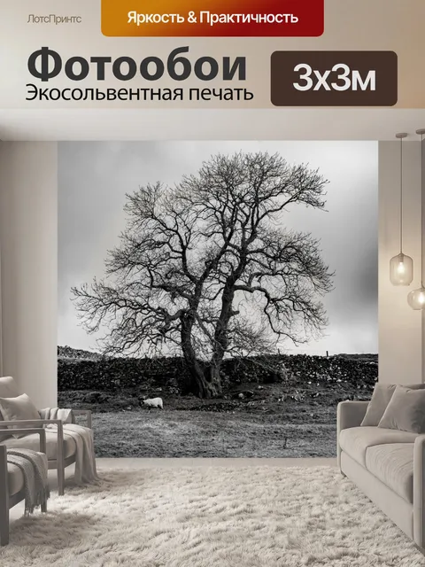 Фотообои Только дерево
