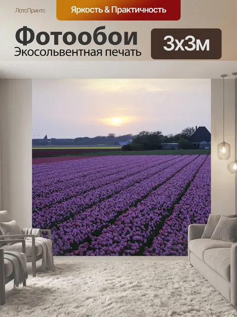 Фотообои Тюльпаны