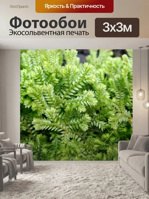 Фотообои Листья