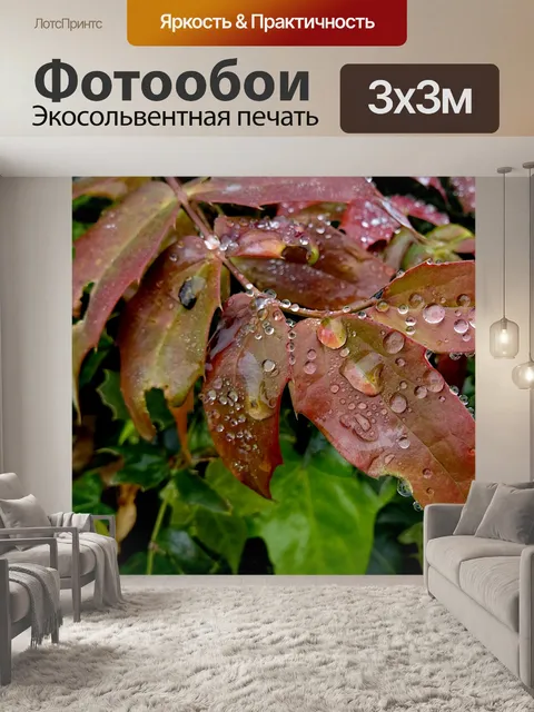 Фотообои Капли дождевой воды на кустарнике сада