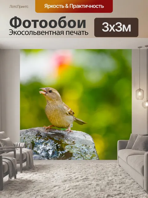 Фотообои Воробей