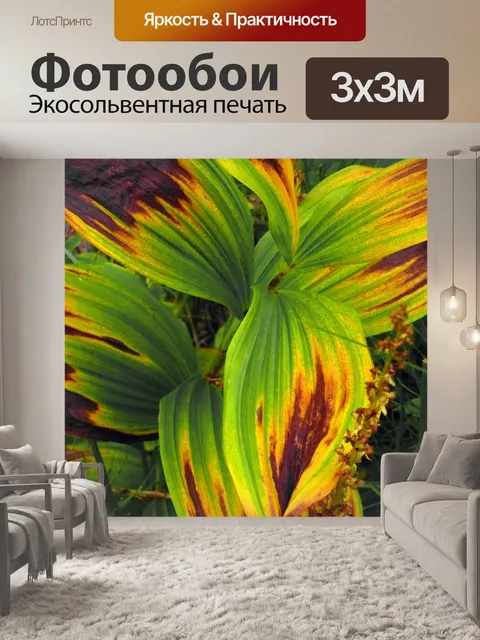 Фотообои Листья
