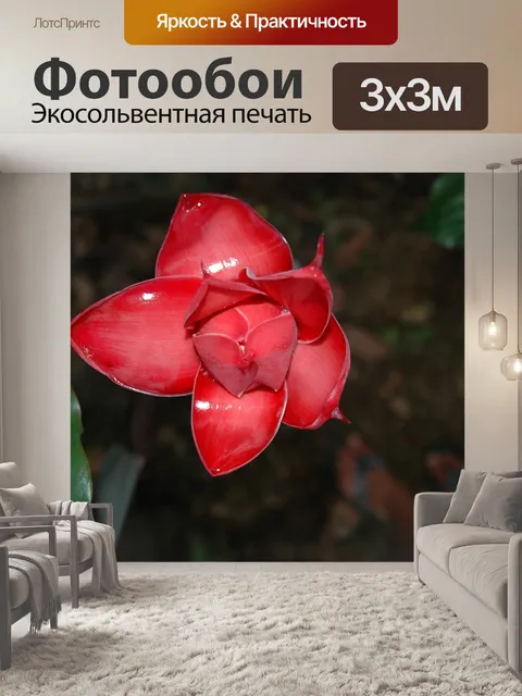 Фотообои Цветок джунглей
