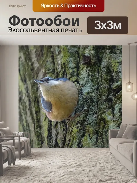 Фотообои Птица