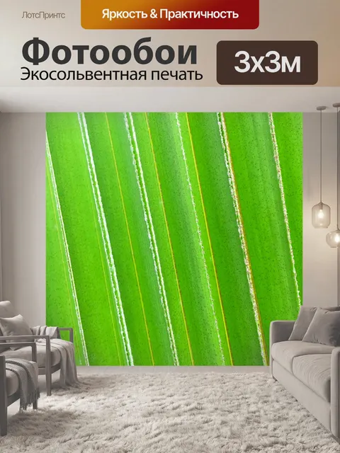 Фотообои Зеленый лист пальмы