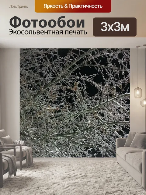 Фотообои Лед